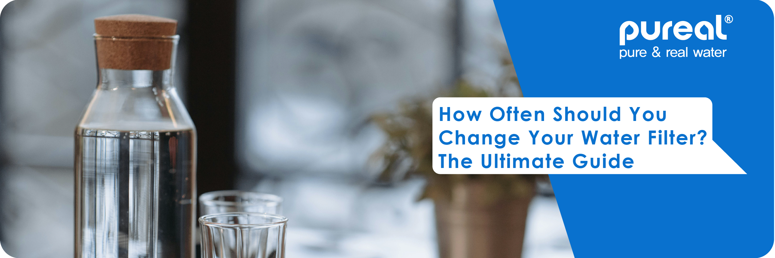 How Often Should You Change Your Water Filter? The Ultimate Guide